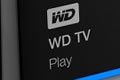 wd tv play western digital